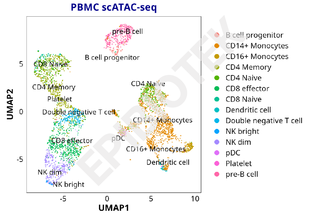 单细胞ATAC-seq：单细胞分辨率的染色质可及性，更高精度