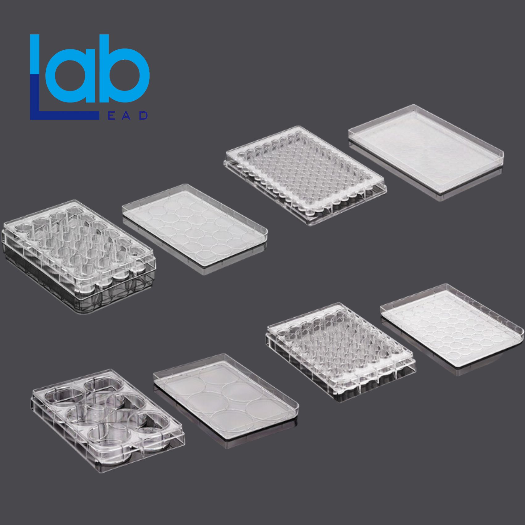 24孔TC平C底细胞培养板，盒装灭菌