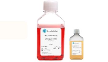 MesenPlify™ 干细胞扩增培养基技术资料（第四期）