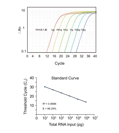 microRNA 逆转录产品(茎环法) miRNA 1st
