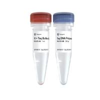 高纯度耐热DNA聚合酶 Taq DNA Polymerase (Mg2+ plus Buffer)（P101）