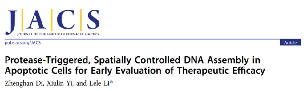 文献解析 | 凋亡细胞内蛋白酶触发DNA组装评估肿瘤治疗疗效
