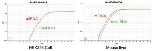 细胞/组织miRNA提取试剂盒 MiPure Cell/Ti
