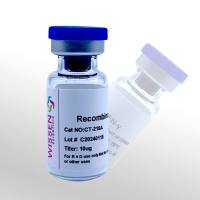 Wissen 重组人干扰素γ IFNγ CT-215A 10ug