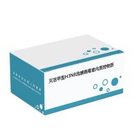 灭活甲型H3N8流感病毒室内质控物质