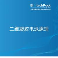 二维凝胶电泳原理