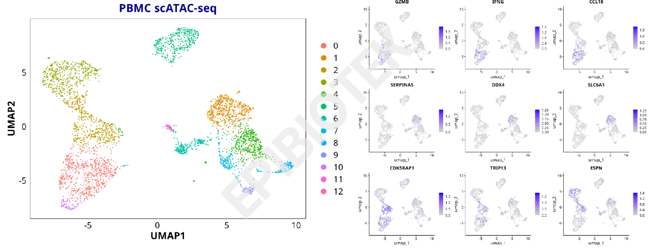 单细胞ATAC-seq：单细胞分辨率的染色质可及性，更高精度