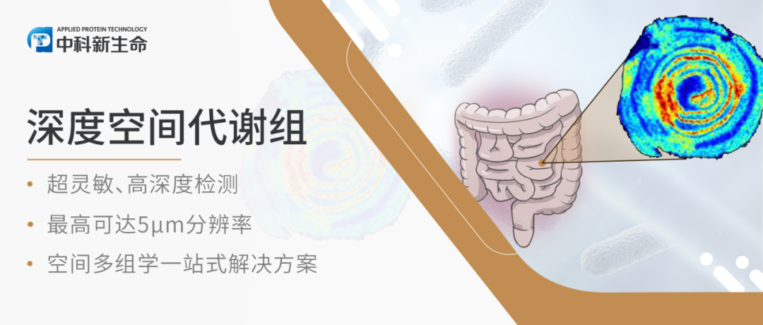 Cell | 不吃早餐会加剧代谢疾病风险！浙大王迪团队揭秘小肠生理调节机制，强调早餐重要性！！！