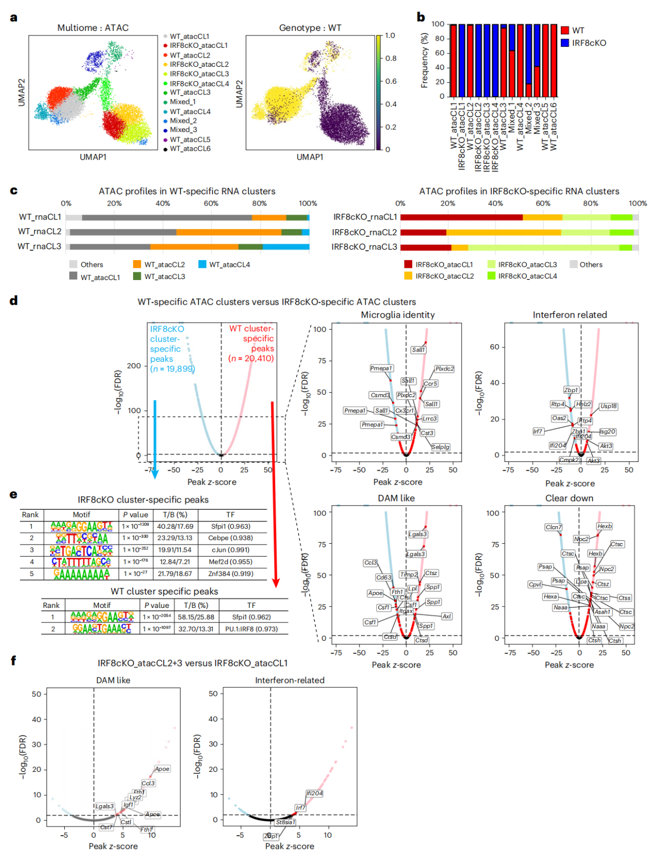 单细胞ATAC-seq：单细胞分辨率的染色质可及性，更高精度