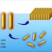 金纳米棒(GNRs)被双链DNA(dsDNA)