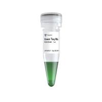 扩增性能强的 DNA 聚合酶 Green Taq Mix（P131）