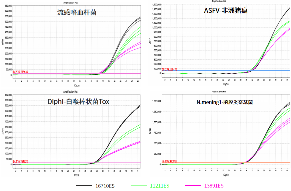 上新 | 通用高性能全预混qPCR预混液，助力多场景高效精准检测！