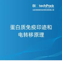 蛋白质免疫印迹和电转移原理