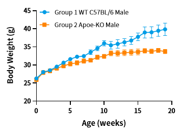 疾病模型 | 动脉粥样硬化小鼠模型(内含福利)