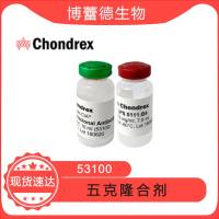 五克隆合剂-CAIA 关节炎模型 