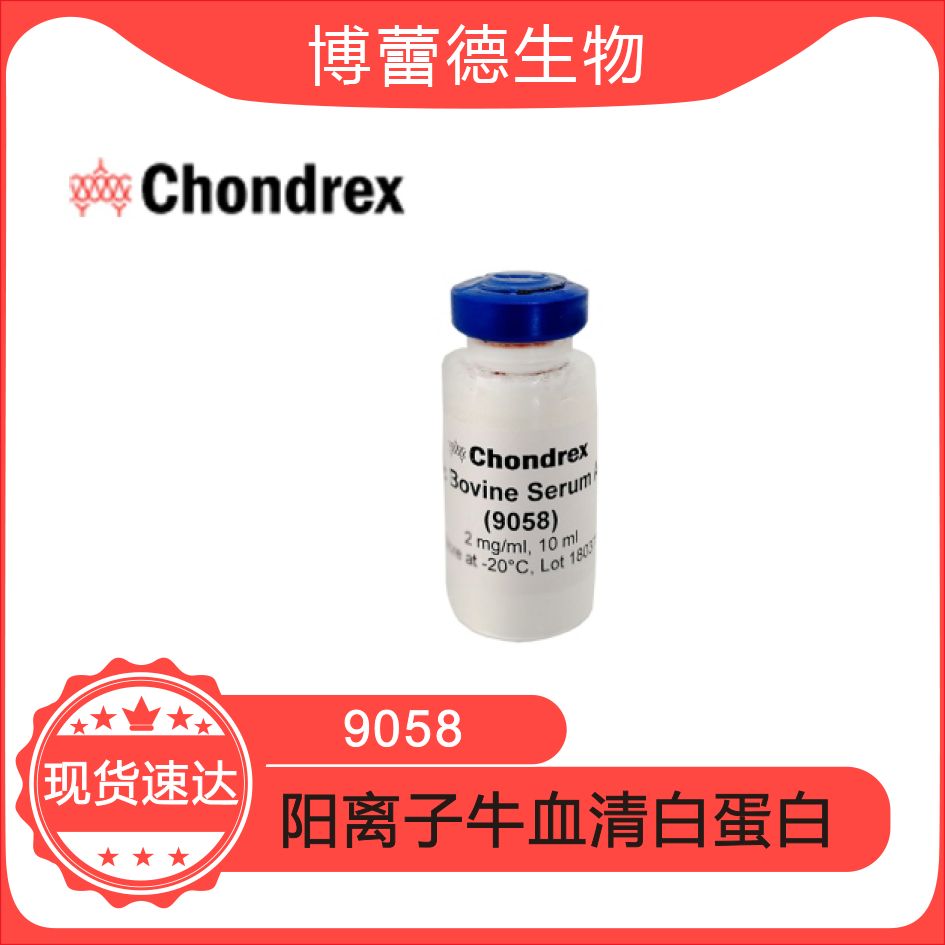  cBSA 阳离子牛血清白蛋白  肾炎模型 现货  cat#9058