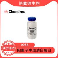  cBSA 阳离子牛血清白蛋白  肾炎模型 现货  cat#9058