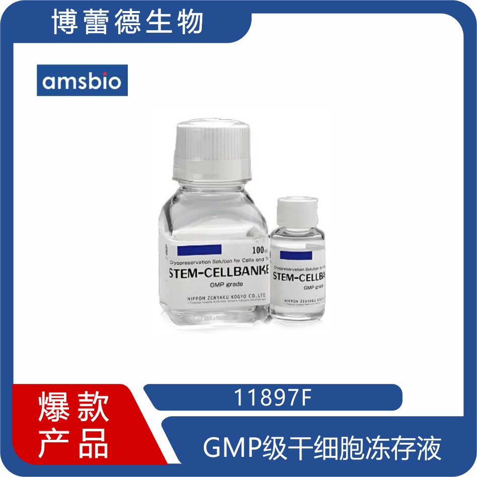 GMP级干细胞冻存液 1894 11897 现货 stem cell