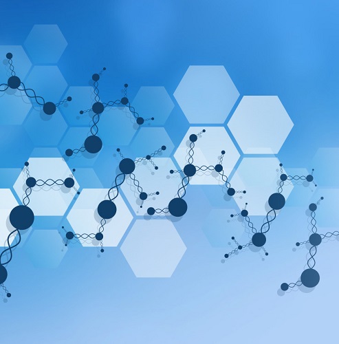 神经递质靶向代谢组学