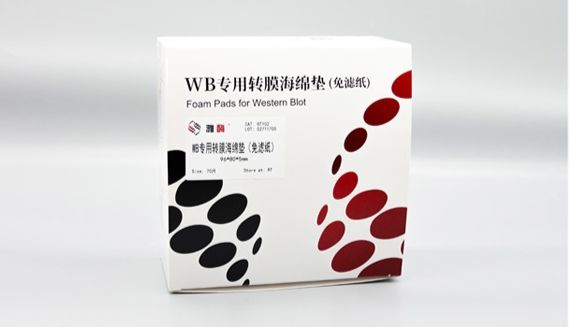 告别滤纸，让转膜更简单！