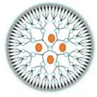 包裹金纳米颗粒的PAMAM树状大分子被两性离子1,3-丙烷磺酸内酯和钆离子修饰