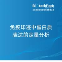 免疫印迹中蛋白质表达的定量分析