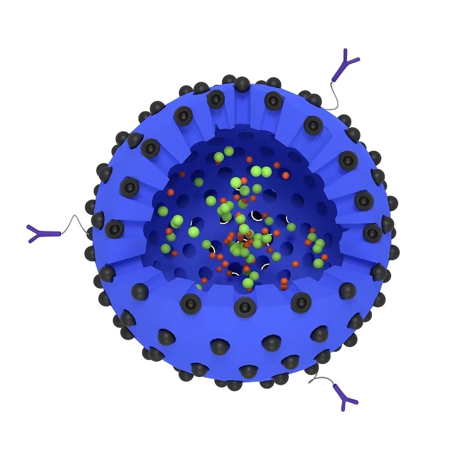 介孔二氧化硅/金纳米粒/四氧化三铁纳米粒负载药物定制服务