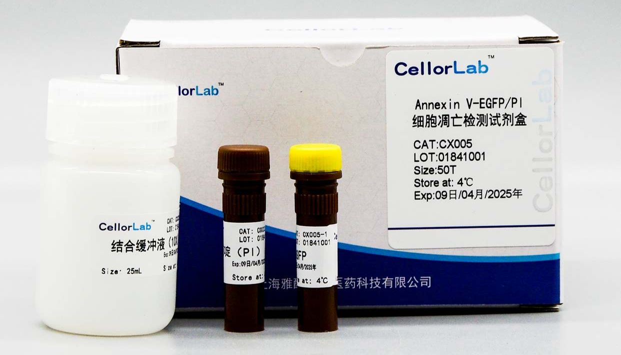 Annexin V细胞凋亡检测实验小贴士