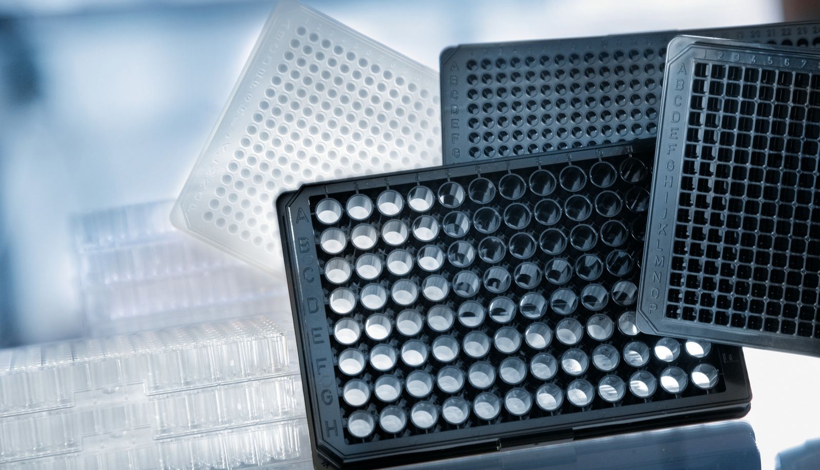 药物开发变革之HTS 结合 3D 细胞培养