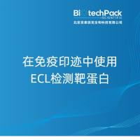 在免疫印迹中使用ECL检测靶蛋白