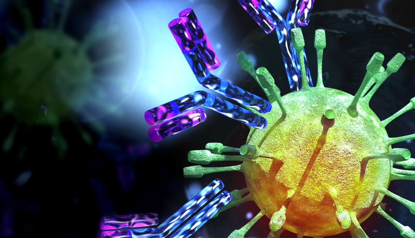 新型重组磷酸化特异性抗体