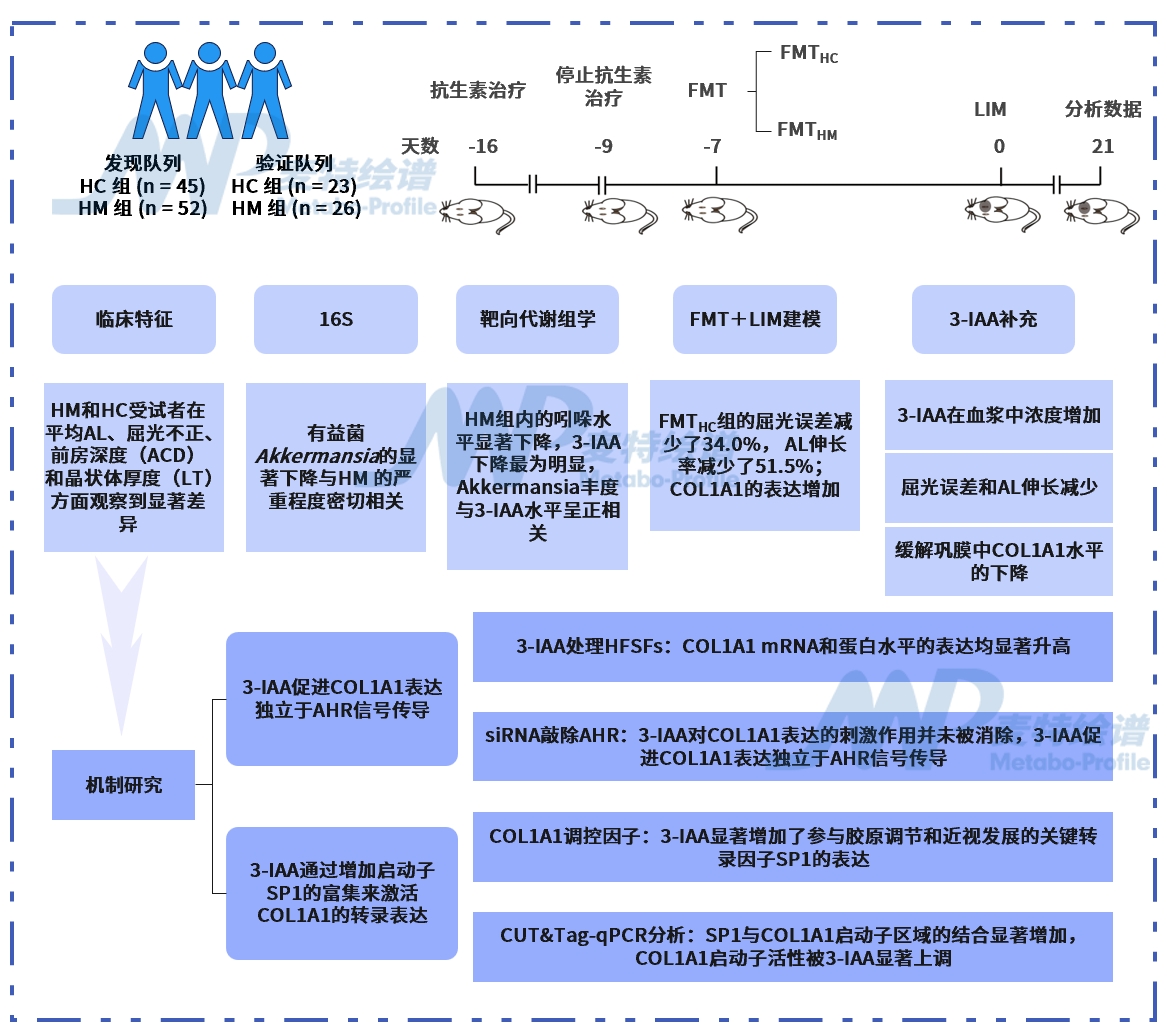 新闻图片2