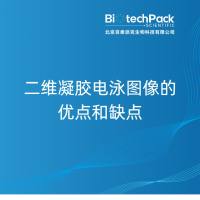 二维凝胶电泳图像的优点和缺点