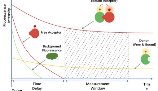 TR-FRET热门应用介绍——药物研发如虎添翼