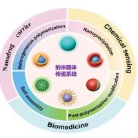 多肽/甘露糖/蛋白/抗体/其他靶向分子修饰上转换/量子点/磁性纳米粒颗粒负载药物/核酸