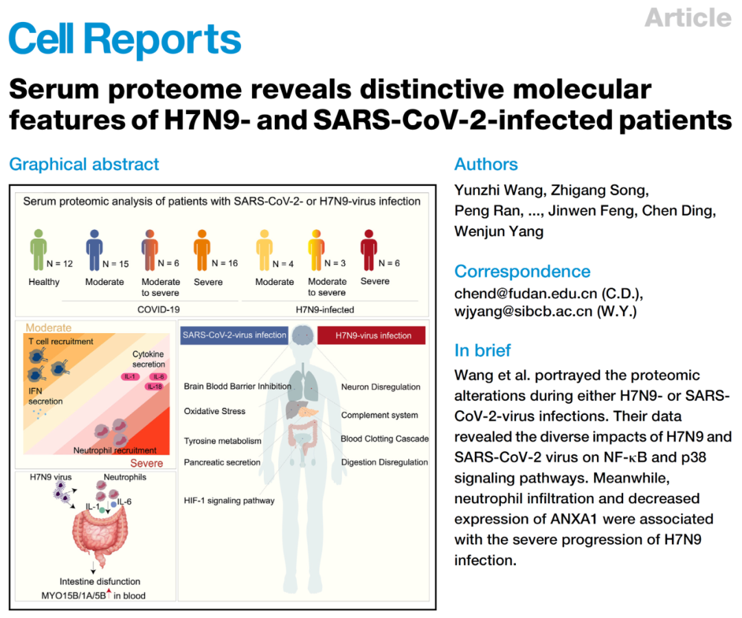 Cell子刊 | 上海交通大学杨雯隽团队基于血清蛋白组揭示H7N9和SARS-CoV-2感染患者的独特分子特征
