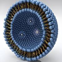 固体脂质纳米粒包封桔皮素（Nar）