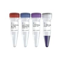 Vazyme LAmp DNA Polymerase (Mg2+ plus buffer)(长距离