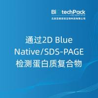 通过2D Blue Native/SDS-PAGE检测蛋白质......