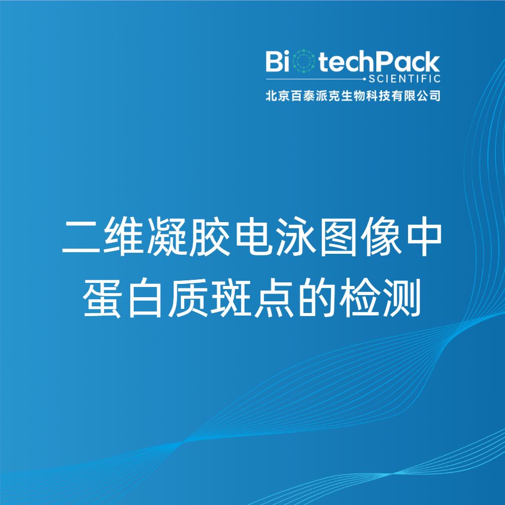 二维凝胶电泳图像中蛋白质斑点的检测