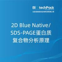 2D Blue Native/SDS-PAGE蛋白质复合物分......