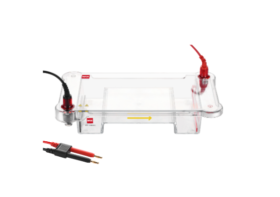 WIX韦克斯-miniPRO4 迷你垂直电泳槽