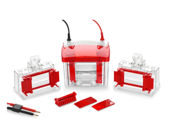 WIX韦克斯-miniPRO4 迷你垂直电泳槽