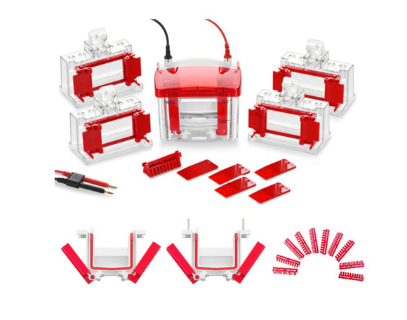 WIX韦克斯-miniPRO4 迷你垂直电泳槽