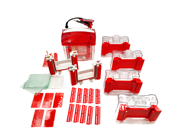 WIX韦克斯-miniPRO4 迷你垂直电泳槽