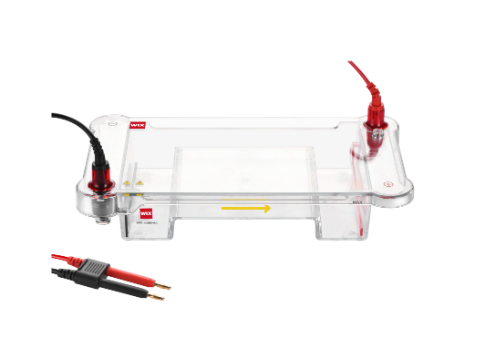 WIX韦克斯-miniPRO4 迷你垂直电泳槽