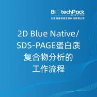 2D Blue Native/SDS-PAGE蛋白质复合物分析的工作流程