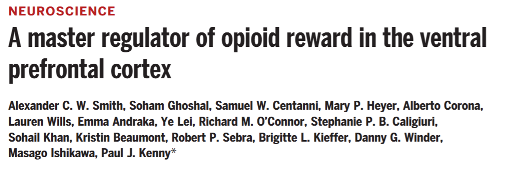 Science | 组织透明化三维成像技术揭示控制成瘾的关键区域并解密了opioid的“大脑开关”