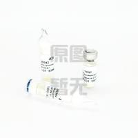 卵形拟杆菌bio-67922	  