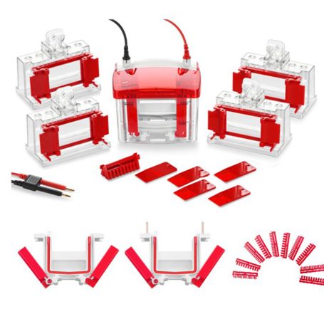 WIX韦克斯-miniPRO4 迷你垂直电泳槽